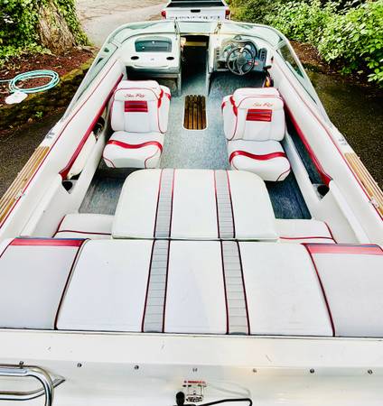 Sea Ray, dovoz USA — foto 8 z 12