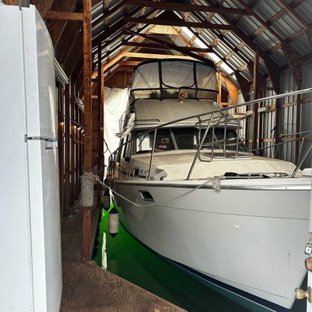 Bayliner, dovoz USA — foto 3 z 9