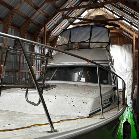 Bayliner, dovoz USA — foto 4 z 9
