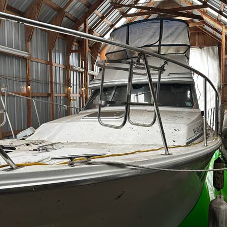 Bayliner, dovoz USA — foto 5 z 9