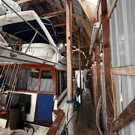 Bayliner, dovoz USA — foto 7 z 9