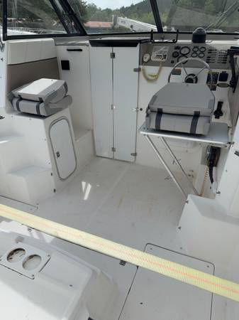 Bayliner, dovoz USA — foto 5 z 12