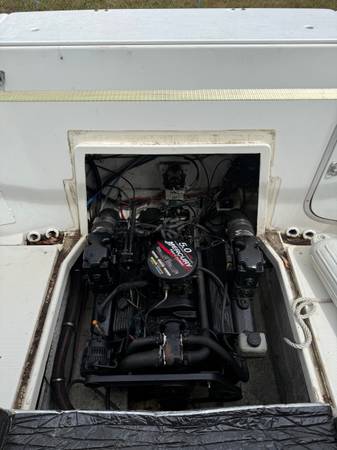 Bayliner, dovoz USA — foto 9 z 12