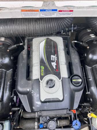 2017 Bayliner, dovoz USA — foto 4 z 8