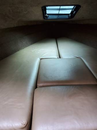 Bayliner, dovoz USA — foto 4 z 9