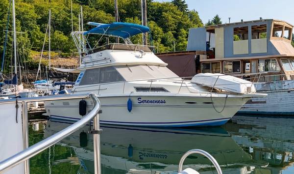 1982 Sea Ray, dovoz USA — foto 2 z 12