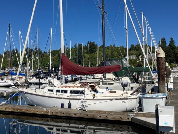 Catalina, dovoz USA — foto 1