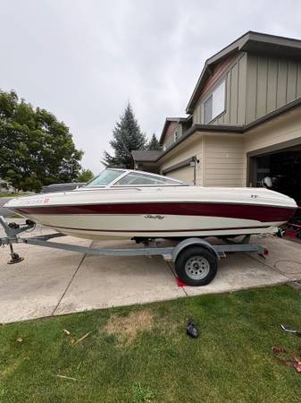 Sea Ray, dovoz USA — foto 1