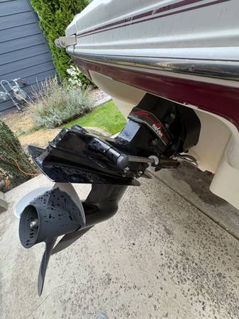Sea Ray, dovoz USA — foto 3 z 12