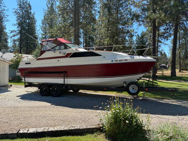 Bayliner, dovoz USA — foto 1