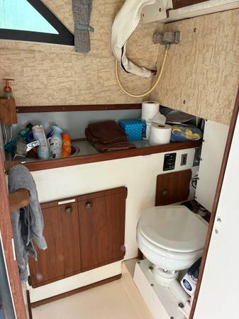 Bayliner, dovoz USA — foto 4 z 10