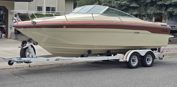 Sea Ray, dovoz USA — foto 1
