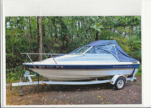 Bayliner, dovoz USA — foto 1