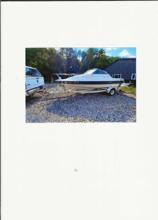 Bayliner, dovoz USA — foto 3 z 3