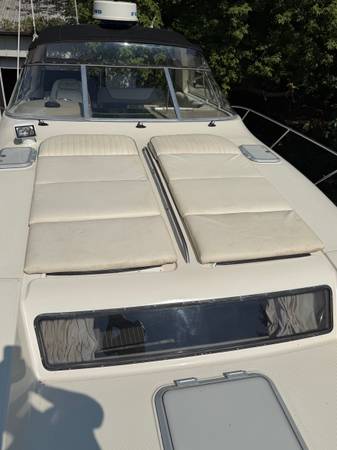 Bayliner, dovoz USA — foto 4 z 12