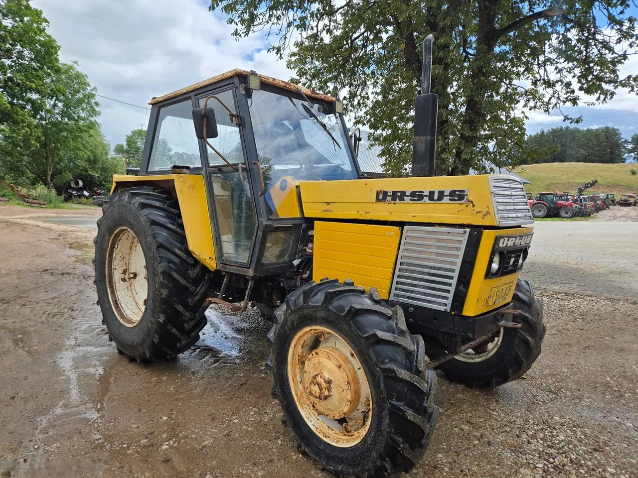 1981 Ursus C-385A, dovoz Skladem v EU — foto 2 z 8