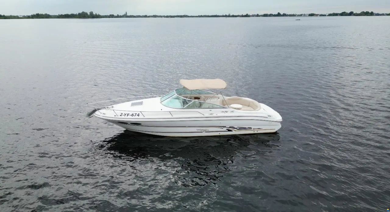 Sea Ray, dovoz Skladem v EU — foto 1