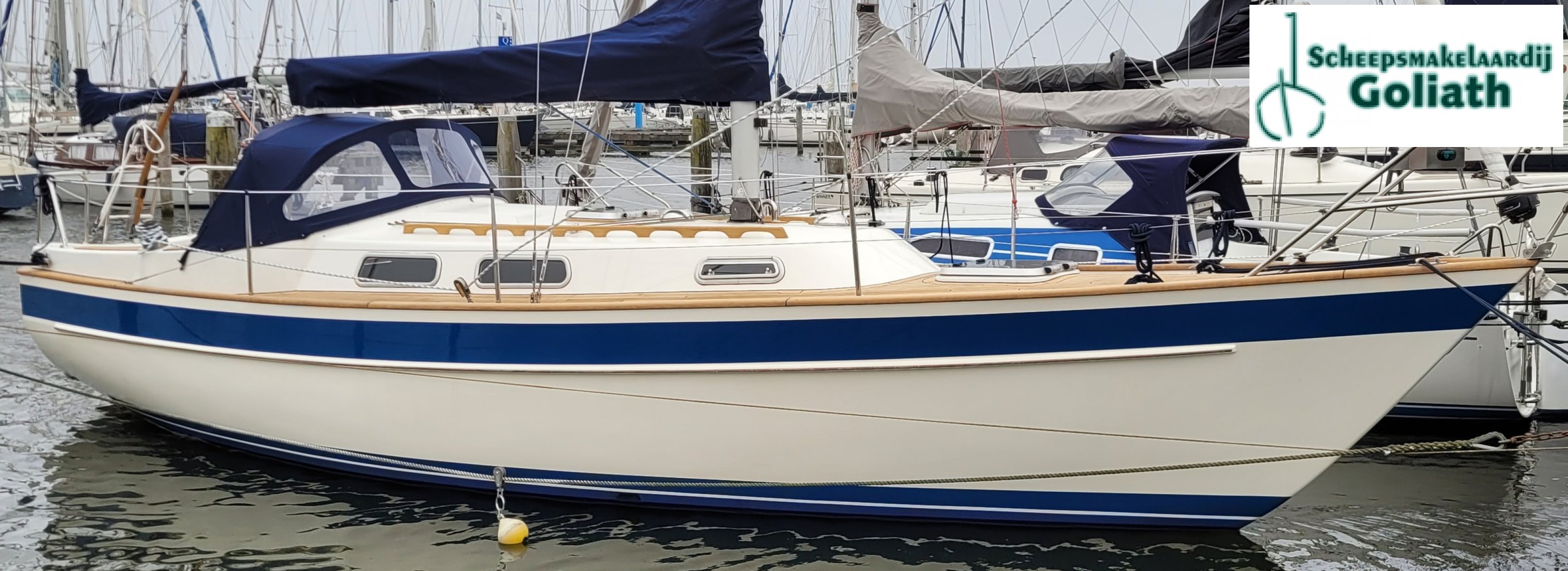 2023 D1-20F, dovoz Skladem v EU — foto 3 z 20