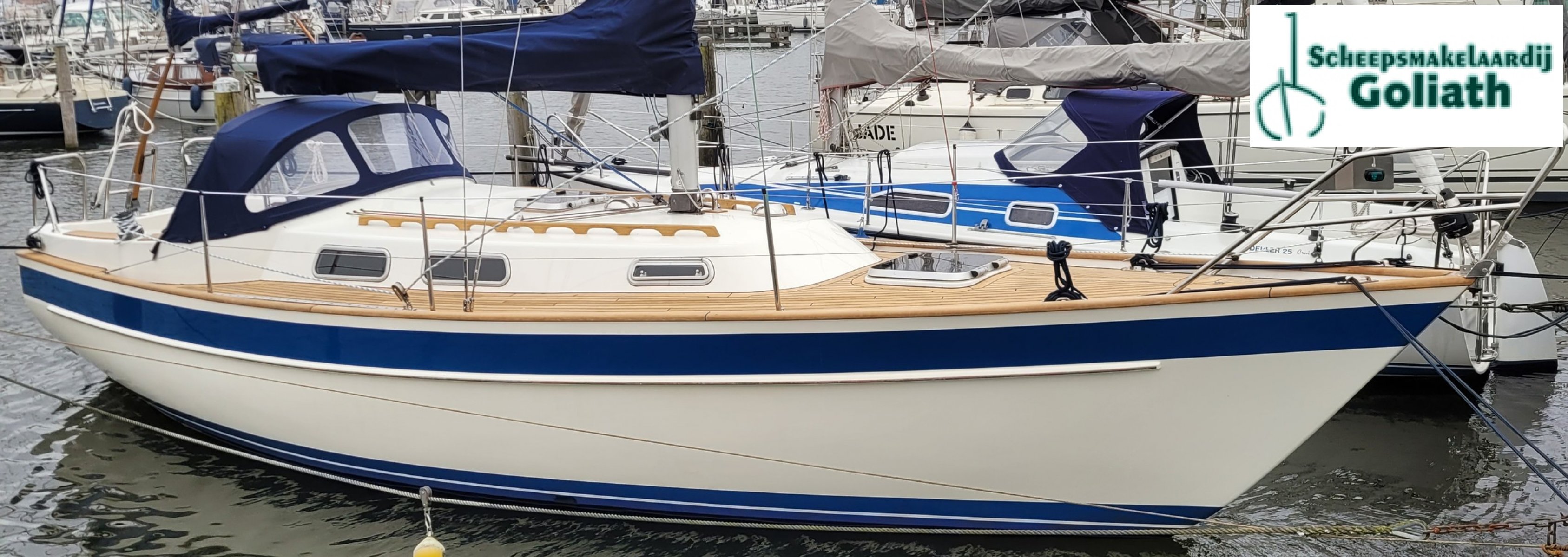 2023 D1-20F, dovoz Skladem v EU — foto 4 z 20