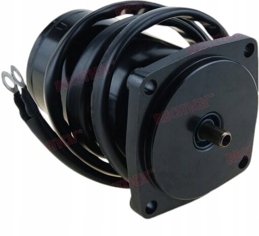 Motor Trymera Suzuki Df40, Df50x-k10 (1999-10) Tmy99-00, Skladem v EU — foto 1