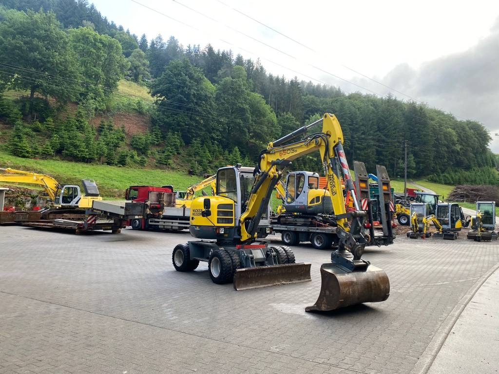 2013 Wacker Neuson 6503, dovoz Skladem v EU — foto 1