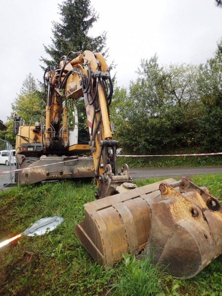 2011 Liebherr, 10 950 mth, dovoz Skladem v EU — foto 6 z 16