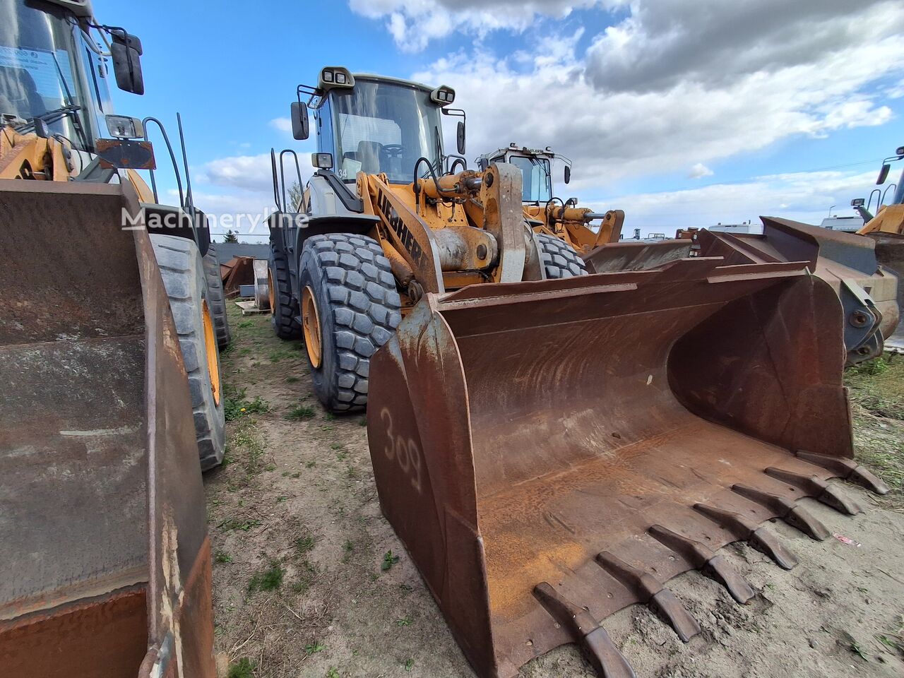 2007 Liebherr, 21 500 mth, dovoz Skladem v EU — foto 2 z 7