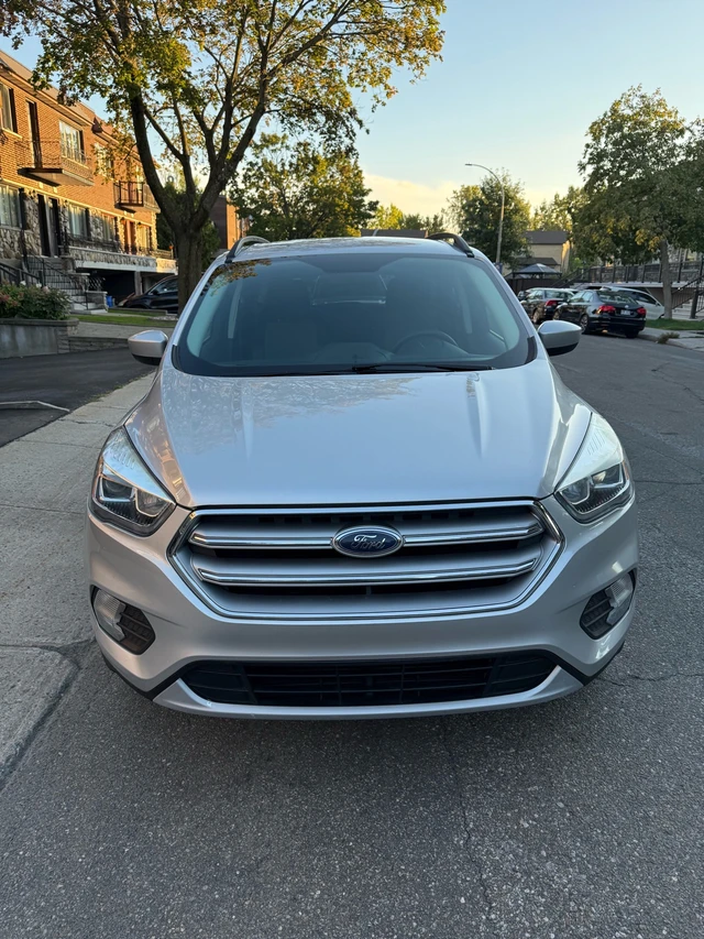 2017 Ford Escape SE, stříbrná, 123 628 km, dovoz Kanada — foto 2 z 5